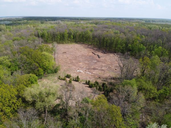 Tallahassee Land Clearing
