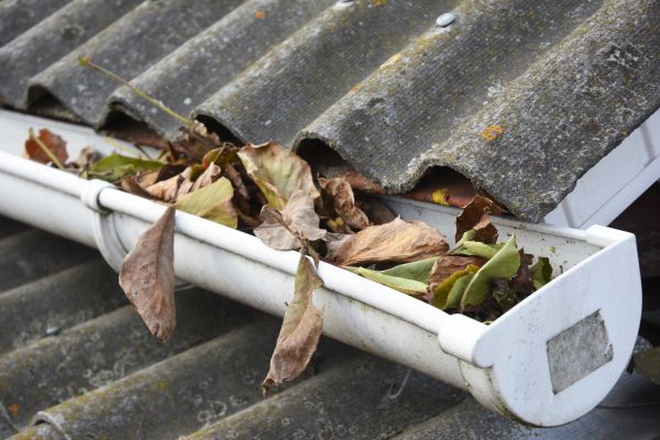 Tallahassee Gutter Cleaning